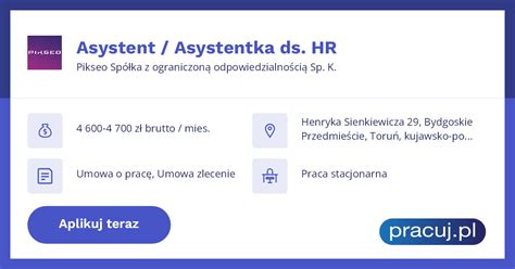 PIKSEO SPÓŁKA Z OGRANICZONĄ ODPOWIEDZIALNOŚCIĄ .